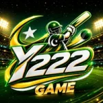 Y222 Game